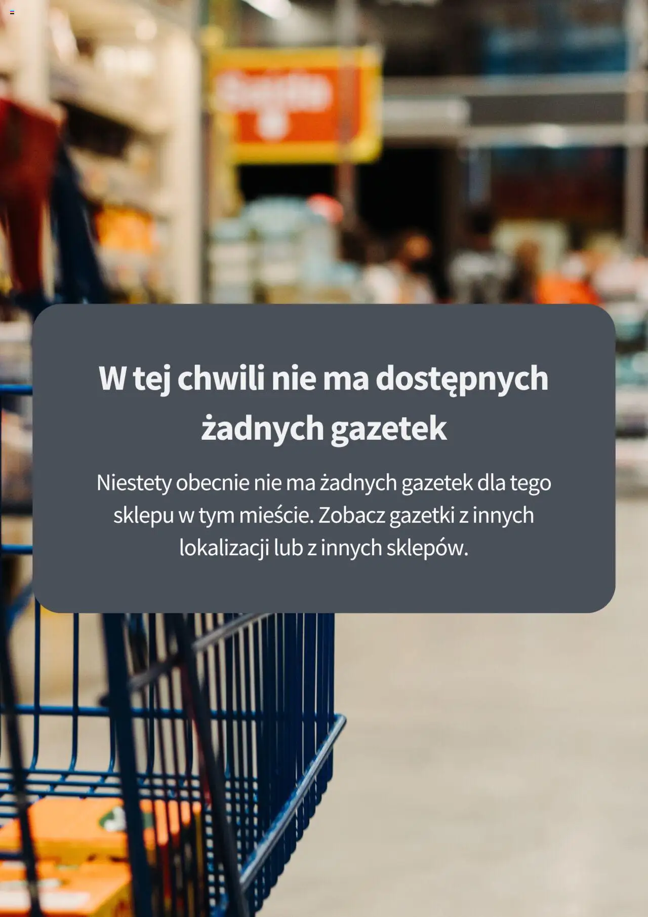 Maxi Zoo Gazetka od 30.04.2026 | Strona: 1