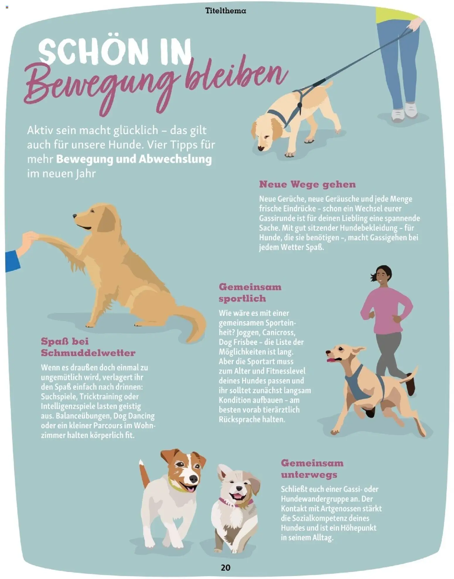 Fressnapf Friends 01/26 gültig ab 01.01.2026 | Seite: 20