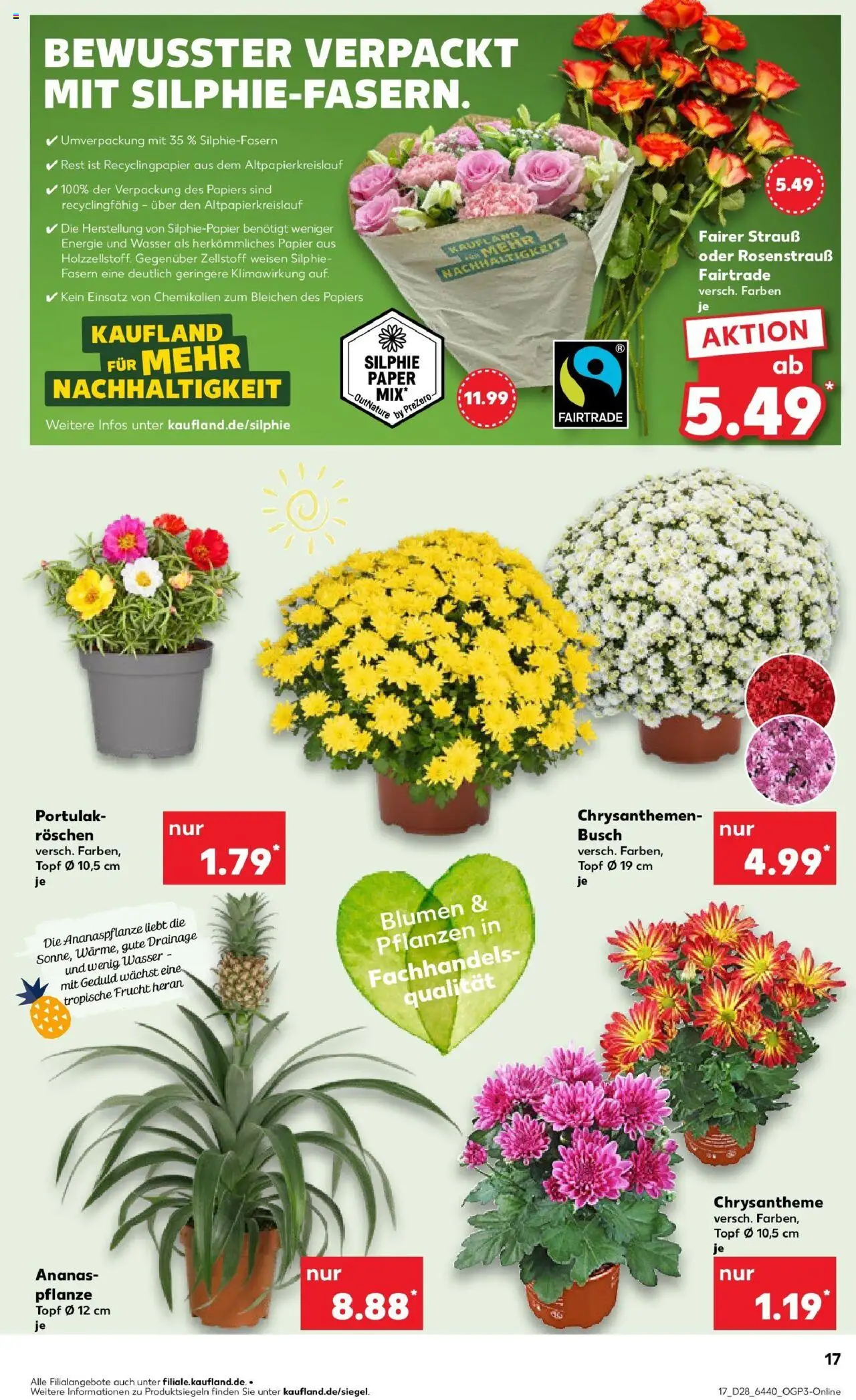 Kaufland prospekt Worms	 - gültig ab dem 09.07.2025 | Seite: 17 | Produkte: Blumen, Ananas, Wasser