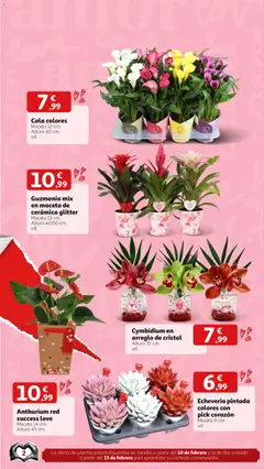 Vista previa Alcampo - San Valentín válido desde el 02.02.2026