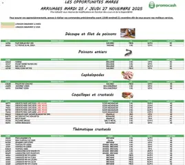 Promocash - Prévisualisation de Promocash Opportunités Marée valide à partir de 25.11.2025