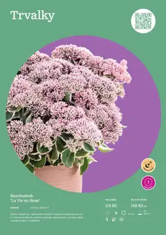 Náhled letáku Starkl katalog od 25.02.2026 | Strana: 55 | Produkty: Lis