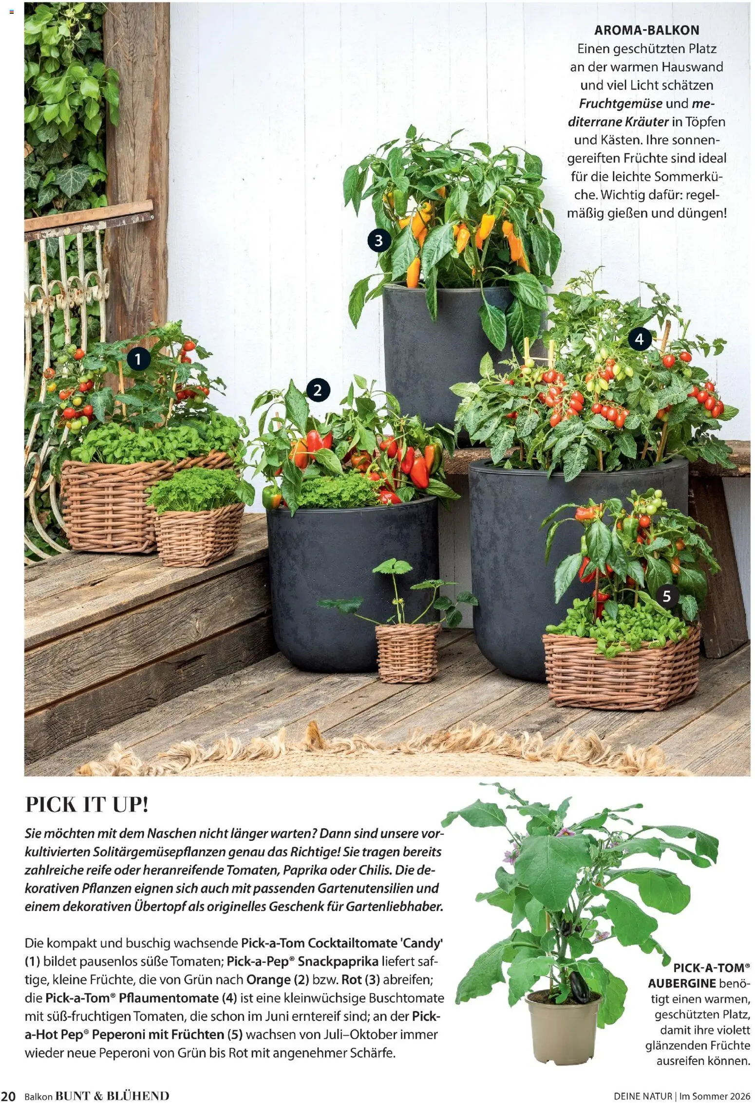 Dehner Prospekt 	 – gültig ab 17.04.2026 | Seite: 20 | Produkte: Paprika, Aubergine