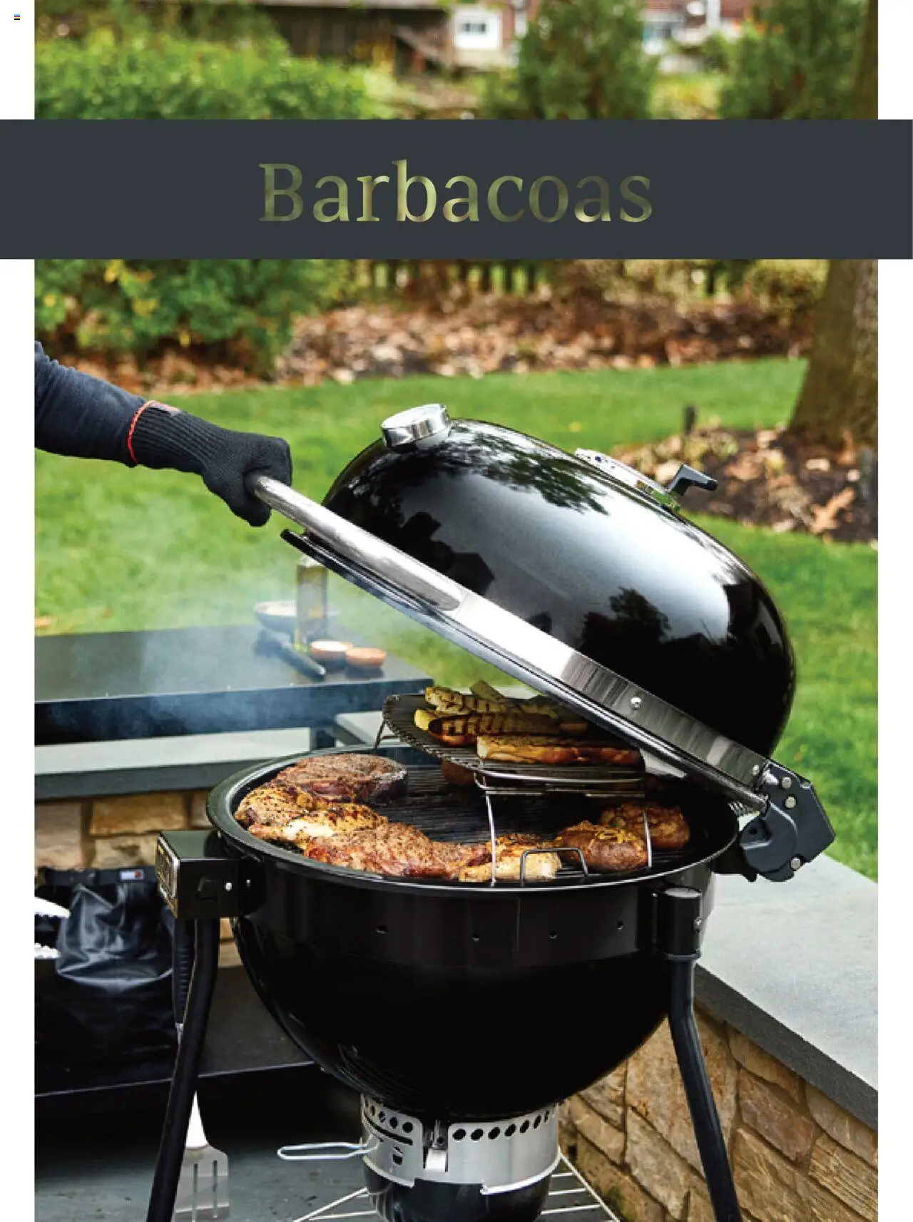 Leroy Merlin catálogo │ válido desde el 25.03.2025 | Página: 199