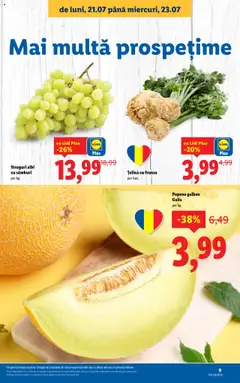 Catalog Lidl – valabil de la 21.07.2025 | Pagină: 9