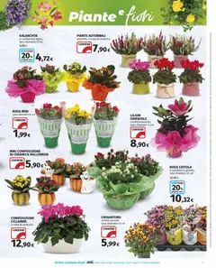 Anteprima del volantino Volantino Ipercoop	 valido a partire dal 23.10.2025 | Pagina: 23 | Prodotti: Data, Ciotola, Vaso