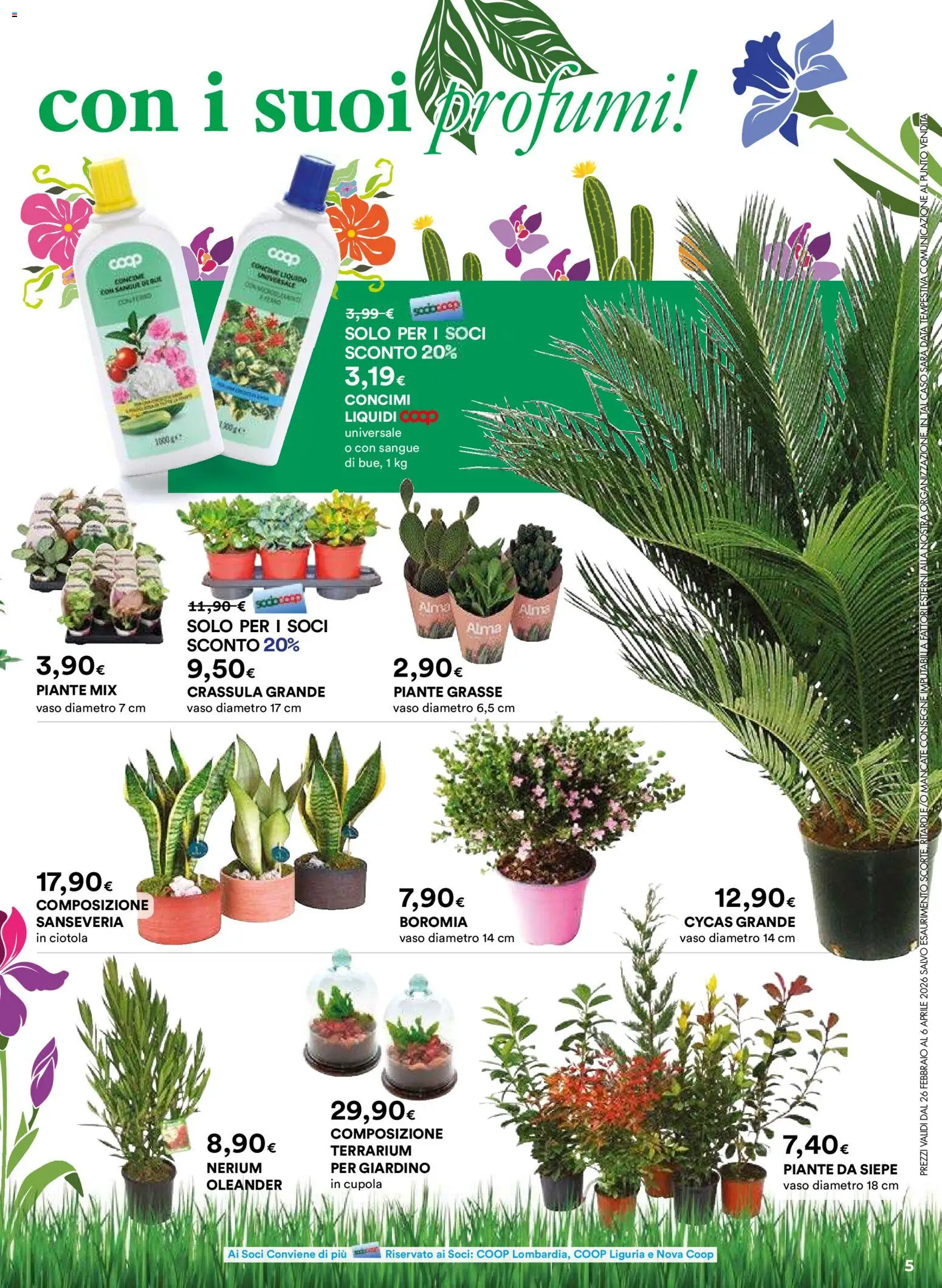 Volantino Ipercoop del 26.02.2026 | Pagina: 5 | Prodotti: Concime, Data, Ciotola, Vaso