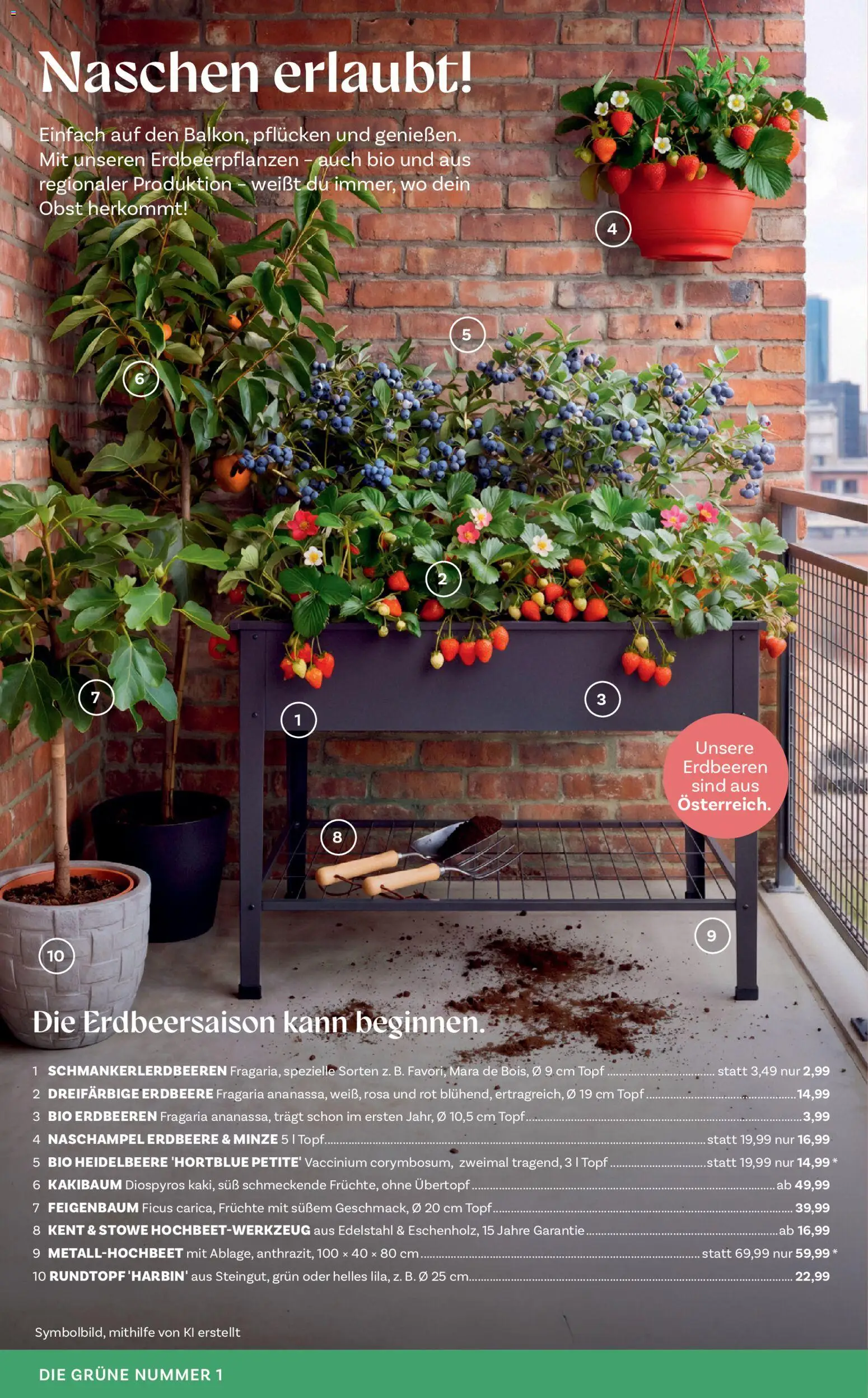 bellaflora Flugblatt gültig ab 02.04.2026 | Seite: 4 | Produkte: Erdbeeren, Obst