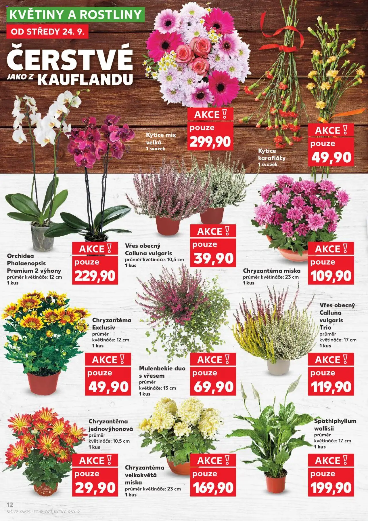 Kaufland leták od 24.09.2025 | Strana: 12 | Produkty: Vřes, Rostliny, Kytice, Květiny