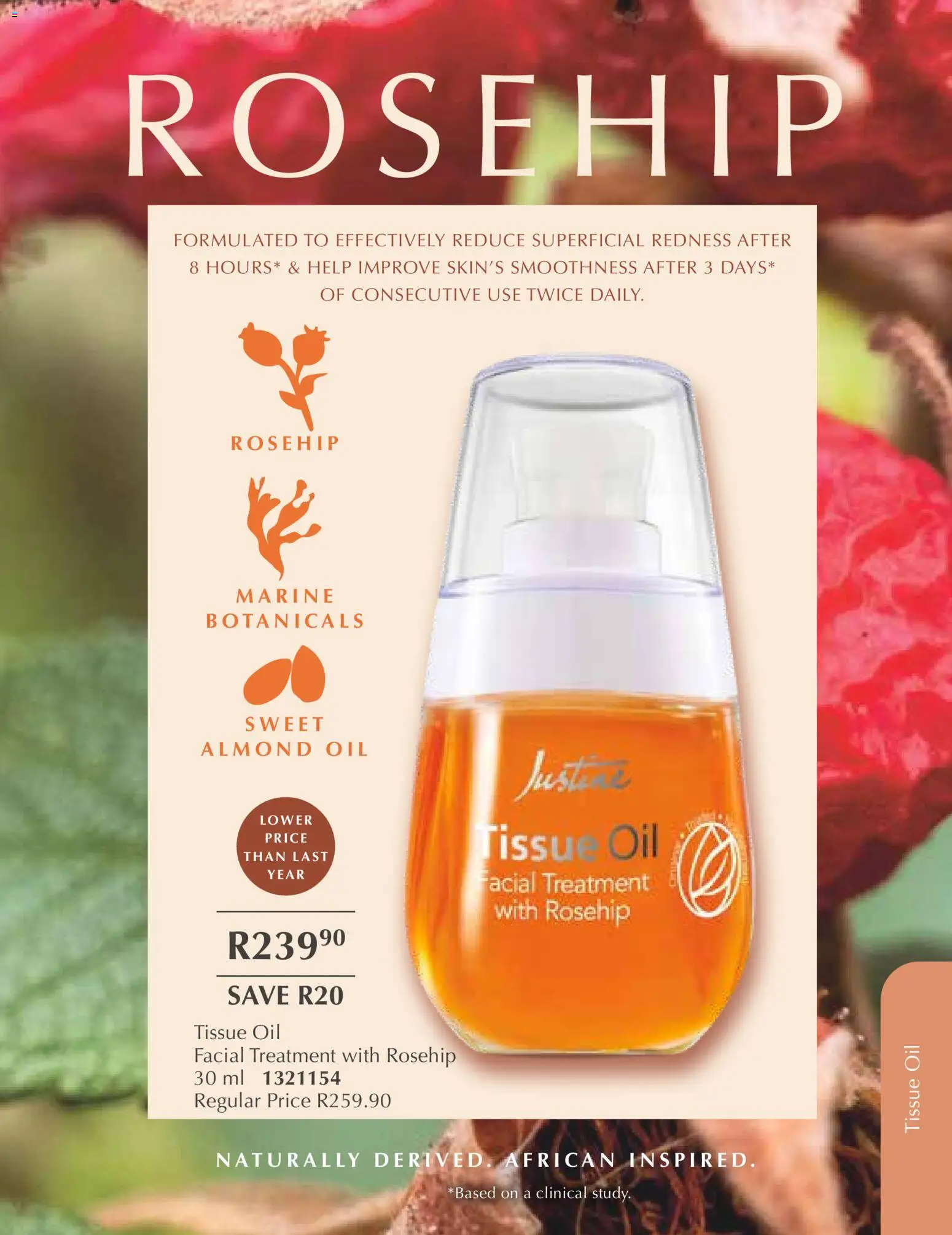 New Justine catalogue – valid from 01.12.2025 | Page: 22