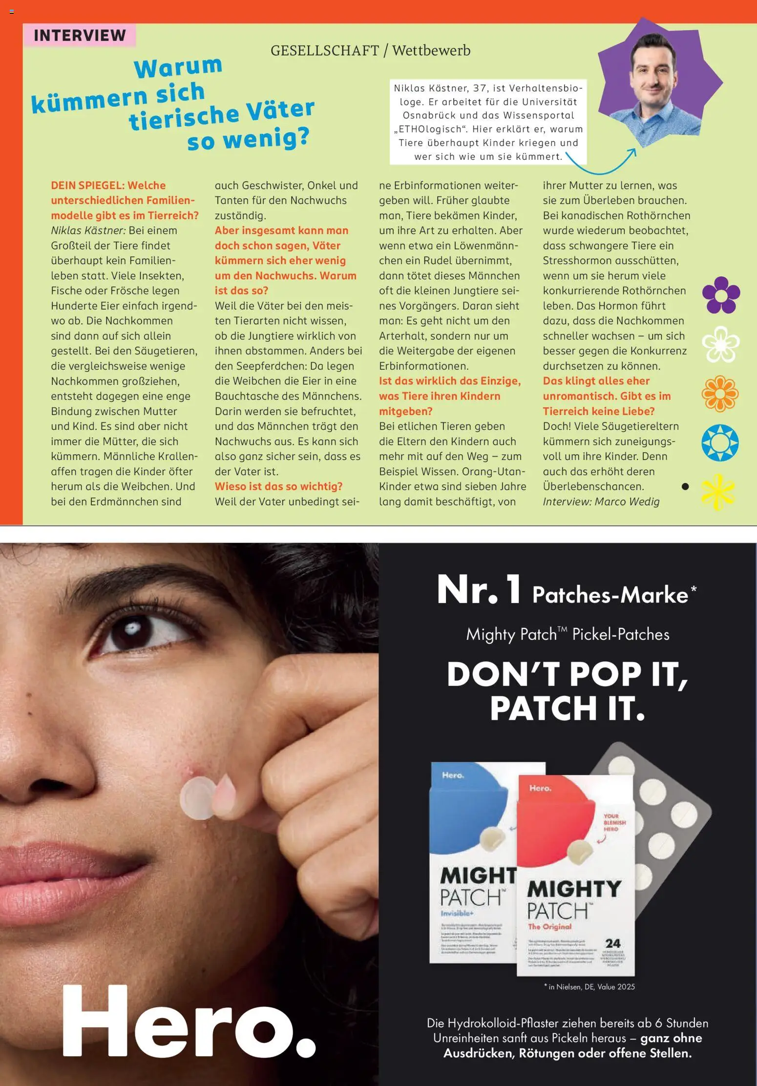 Rossmann Centaur | 01.04.2026 | Wie erhält man einen begrenzten Rabatt? | Deutschland