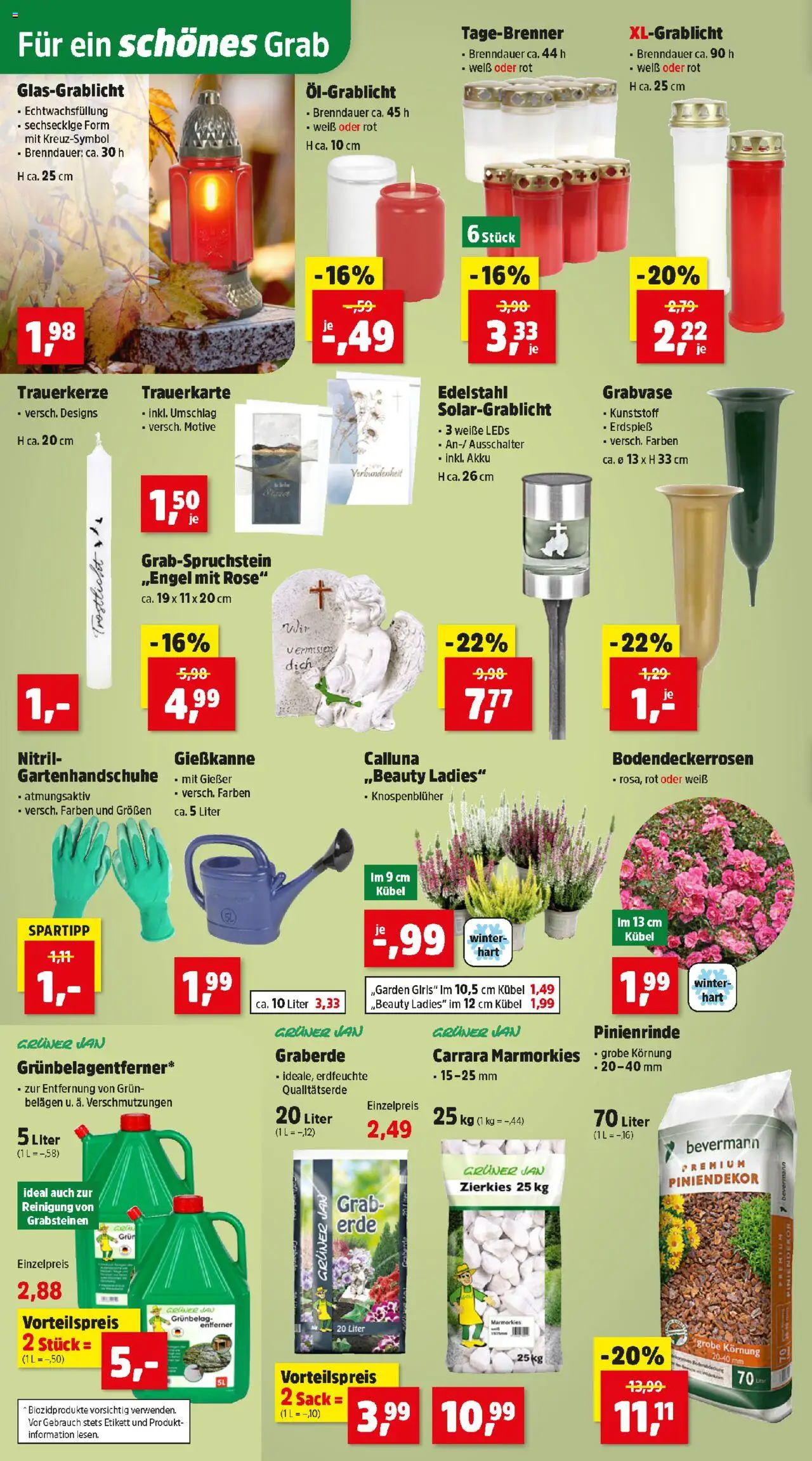 Thomas Philipps Flugblatt gültig ab 08.09.2025 | Seite: 10 | Produkte: Öl
