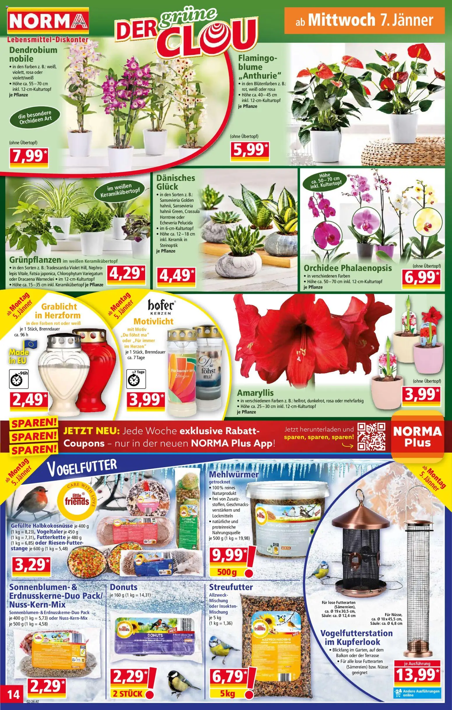 Norma Flugblatt gültig ab 05.01.2025 | Seite: 14 | Produkte: Nüsse