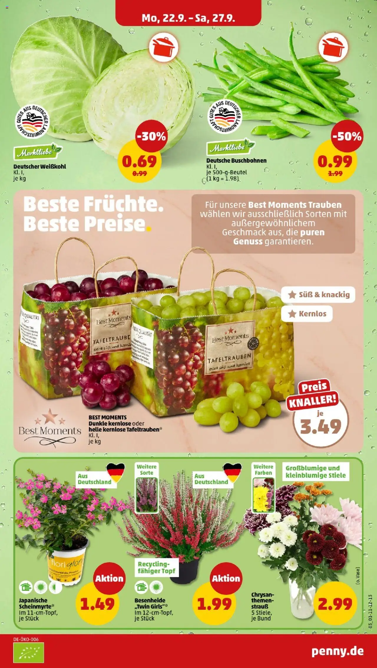 Penny - Berlin – gültig ab 22.09.2025 | Seite: 5 | Produkte: Trauben, Vase, SUP