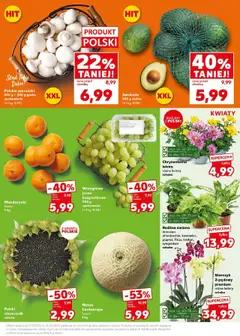 Kaufland gazetka - Super Sobota od 09.08.2025 | Strona: 23 | Produkty: Pieczarki, Słonecznik, Storczyk, Mandarynki