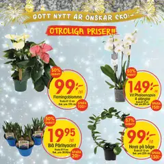 EKO - Black Friday varsel - Förhandsvisning av reklamblad från butik EKO aktuell från 29.12.2025