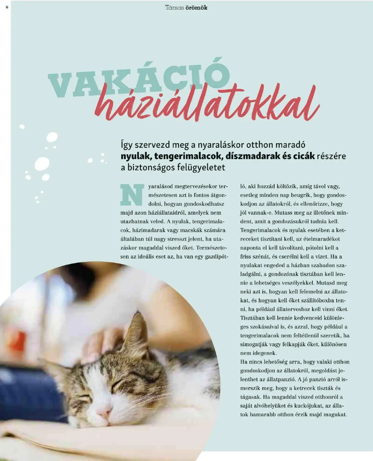 Fressnapf akciós ujság - amely érvényes a következő dátumtól: 05.05.2025 | Oldal: 40 | Termékek: Tök