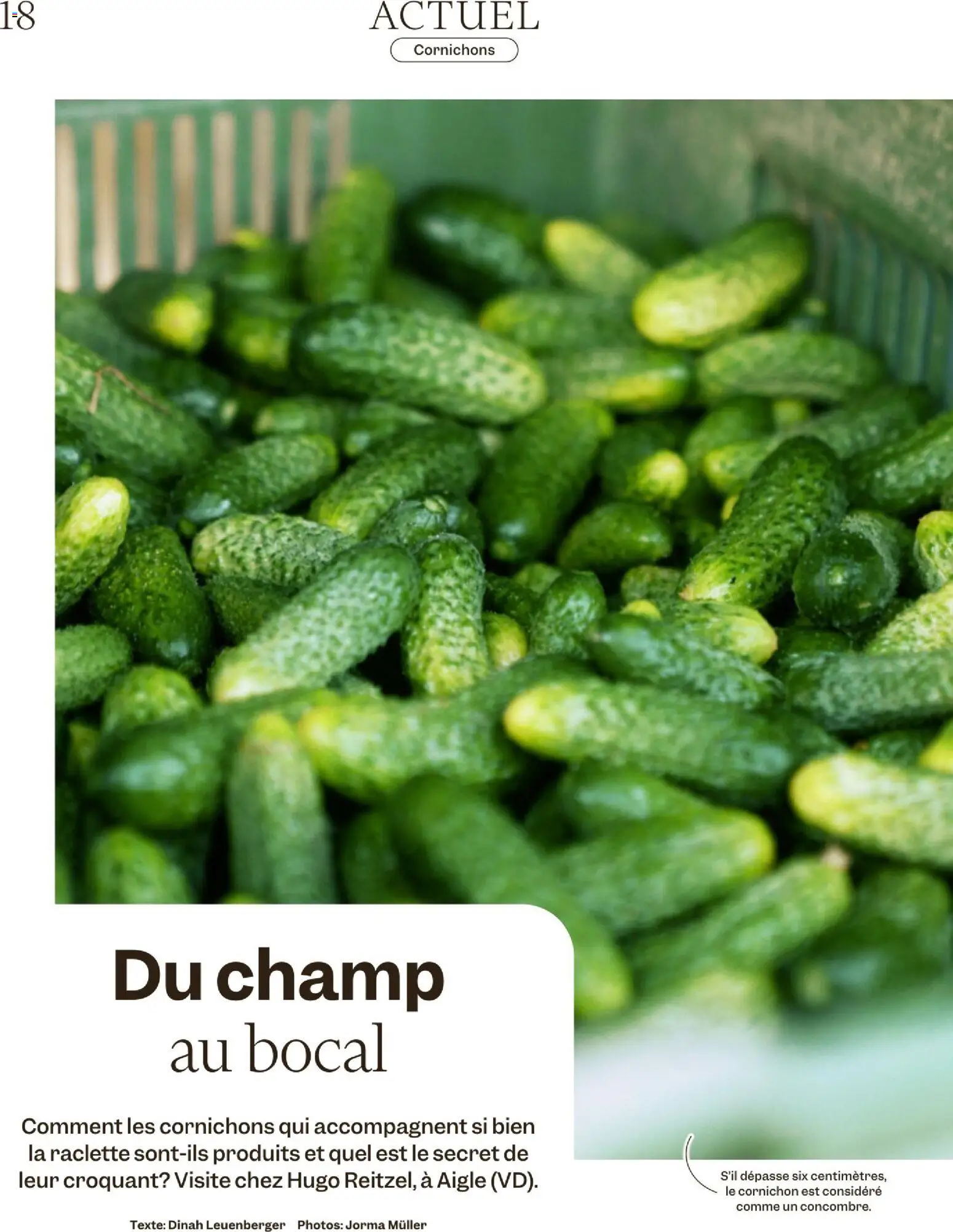 Migros Magazin FR – gültig ab 17.11.2025 | Seite: 18 | Produkte: Raclette