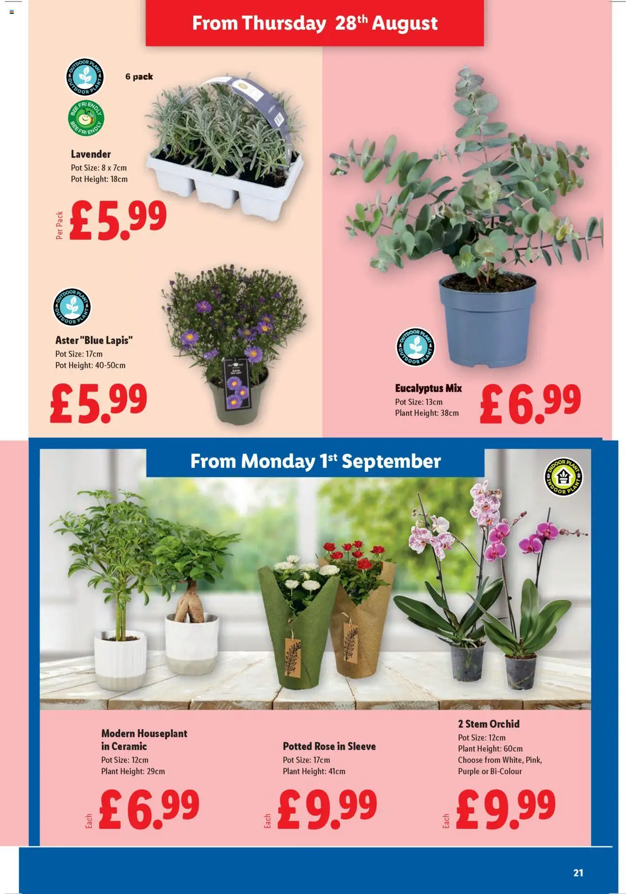  | Page: 21 | Products: Pot, Door, Lavender