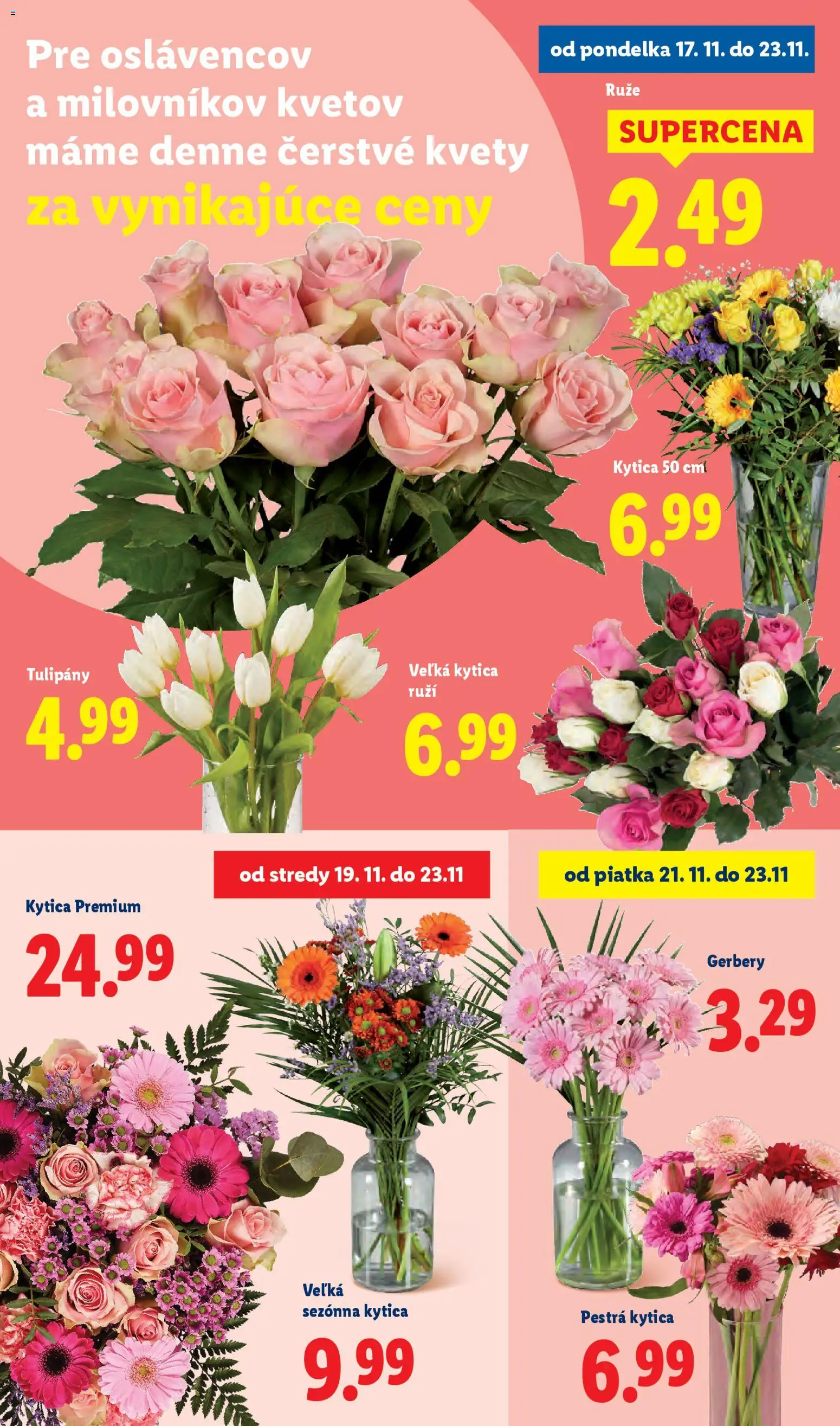 Nové Lidl akcie – leták je platný od 20.11.2025 | Strana: 96 | Produkty: Kvety, Tulipány, Ruže
