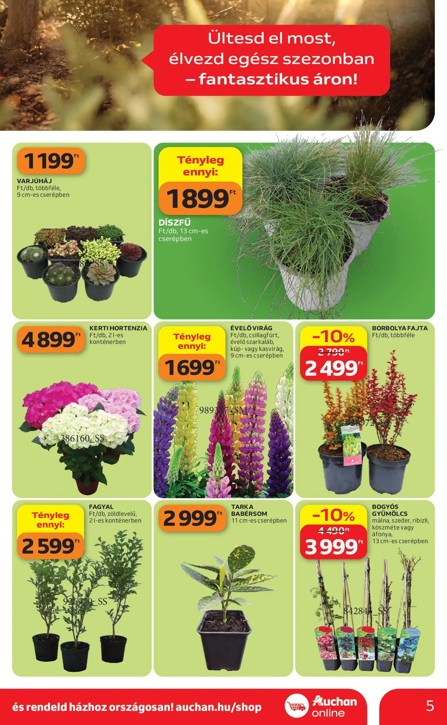 Auchan akciós ujság - amely érvényes a következő dátumtól: 16.04.2026 | Oldal: 5 | Termékek: Hortenzia, Gyümölcs, Virag