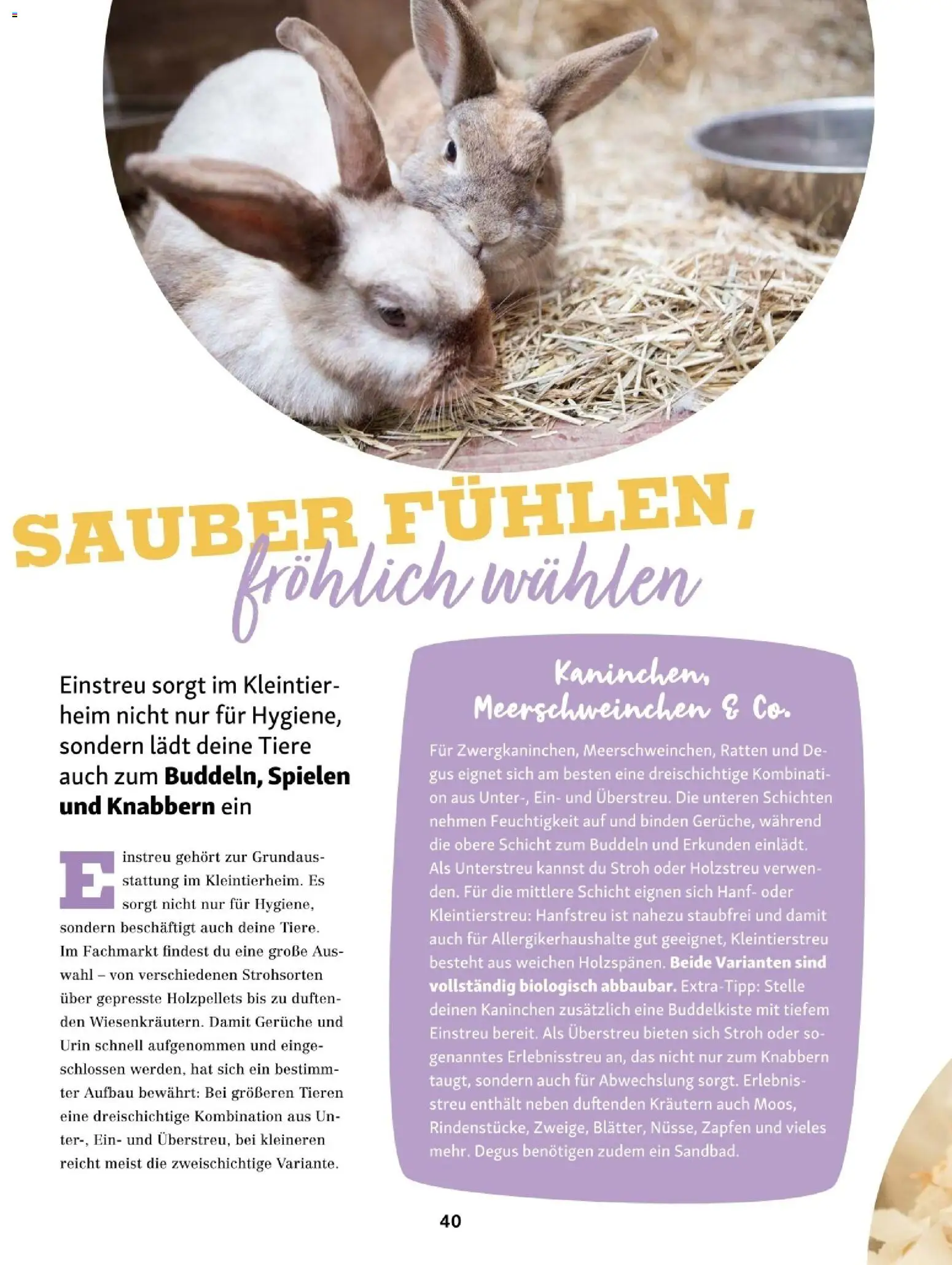 Fressnapf Friends 01/26 gültig ab 01.01.2026 | Seite: 40