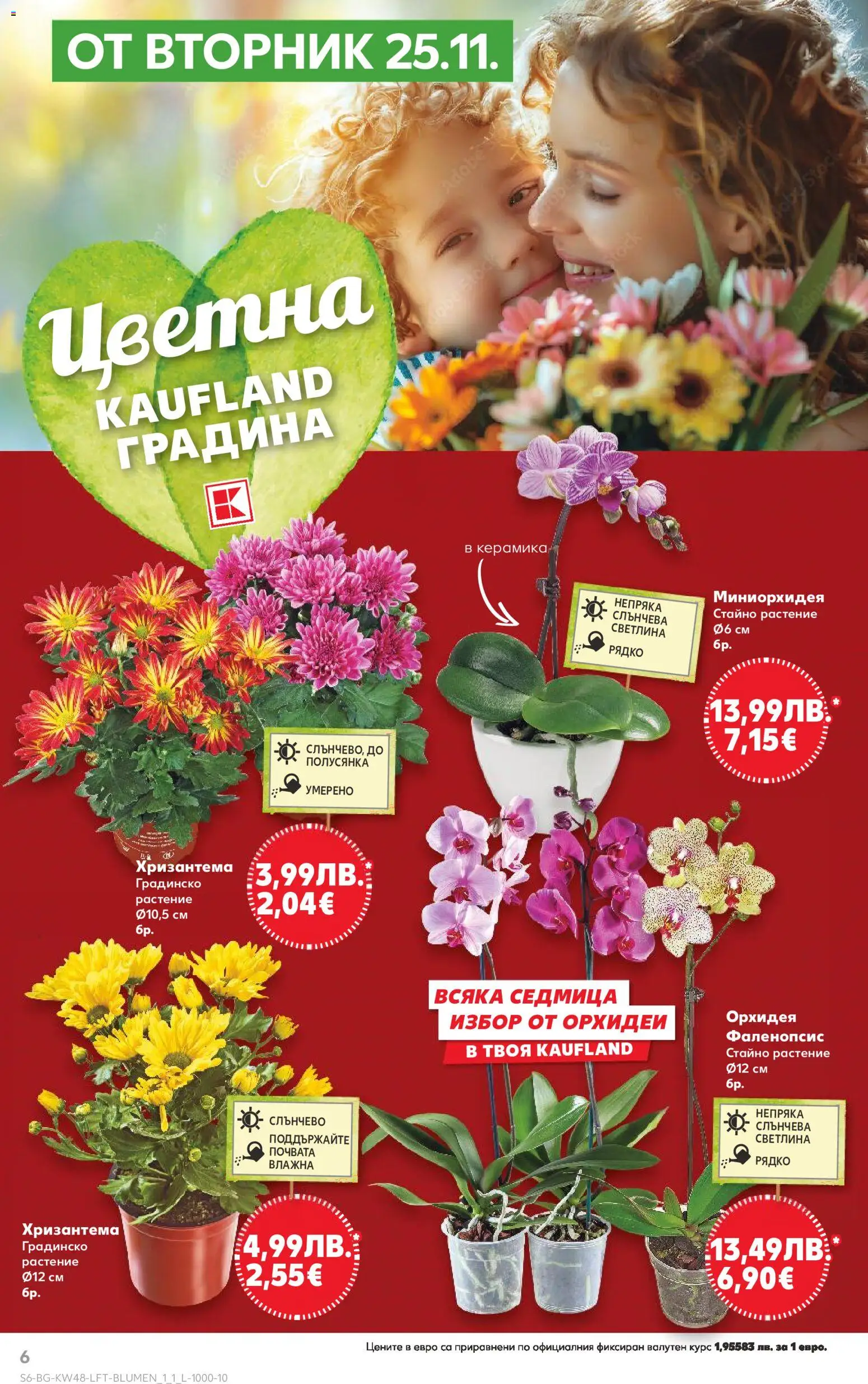 {H1} | Страница: 6 | Продукти: Орхидея, Хризантема