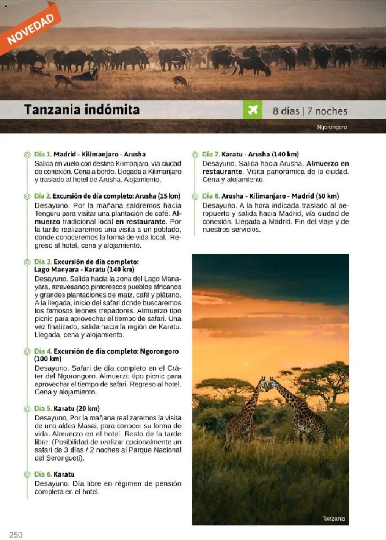 Viajes El Corte Inglés Rutas Culturales de la Comunidad de Madrid │ válido desde el 01.04.2026 | Página: 250 | Productos: Café