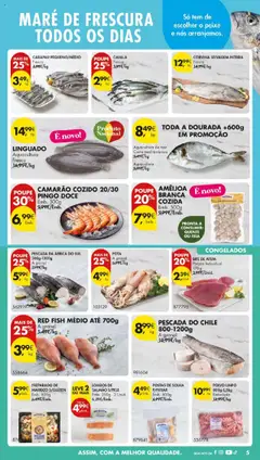 Pré-visualização TODA A DOURADA +600g EM PROMOÇÃO, Aquacultura de mar Costa mediterrânica válido de 21.10.2025 | Página: 11