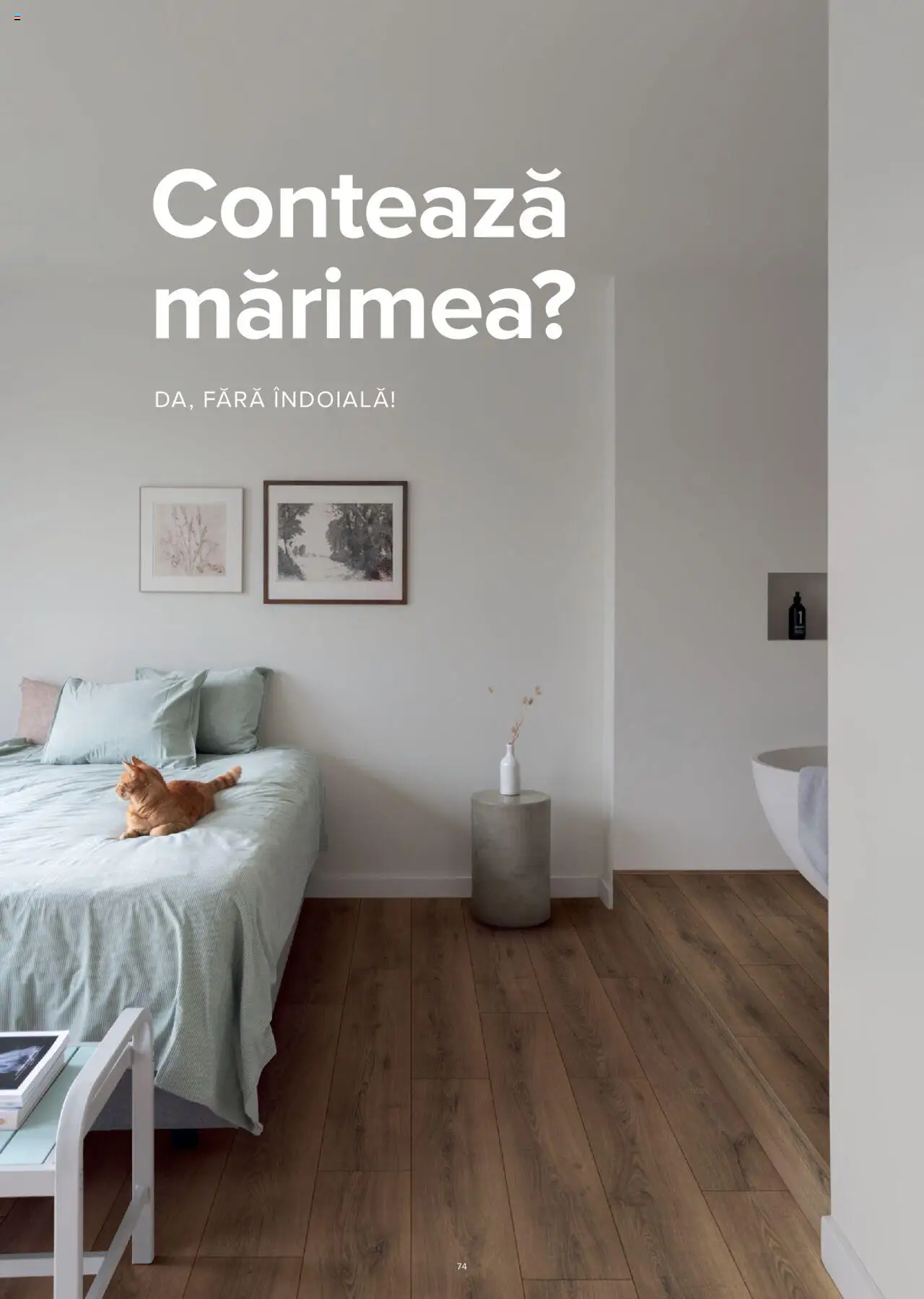 Noul catalog Proges – valabil de la 01.01.2023 | Pagină: 75 | Produse: Bluză făra mâneci, Pantofi fără toc