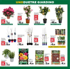 Anteprima del volantino Volantino Iper	 valido a partire dal 20.02.2026 | Pagina: 37 | Prodotti: Frutta, Limone, Terriccio, Vaso