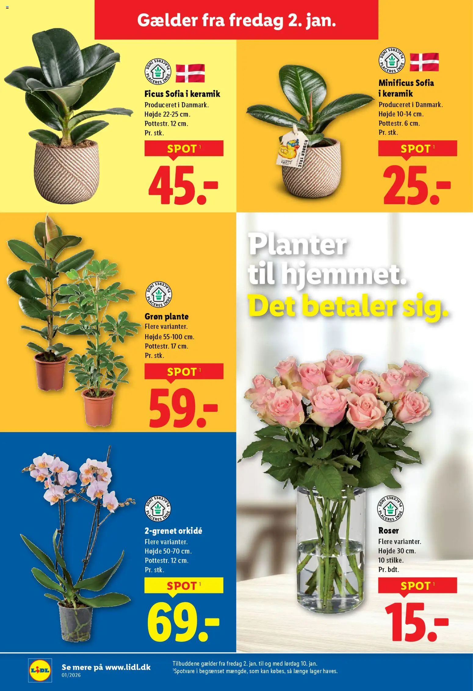 Lidl tilbudsavis – gyldig fra 02.01.2026 | Side: 36 | Produkter: Søm