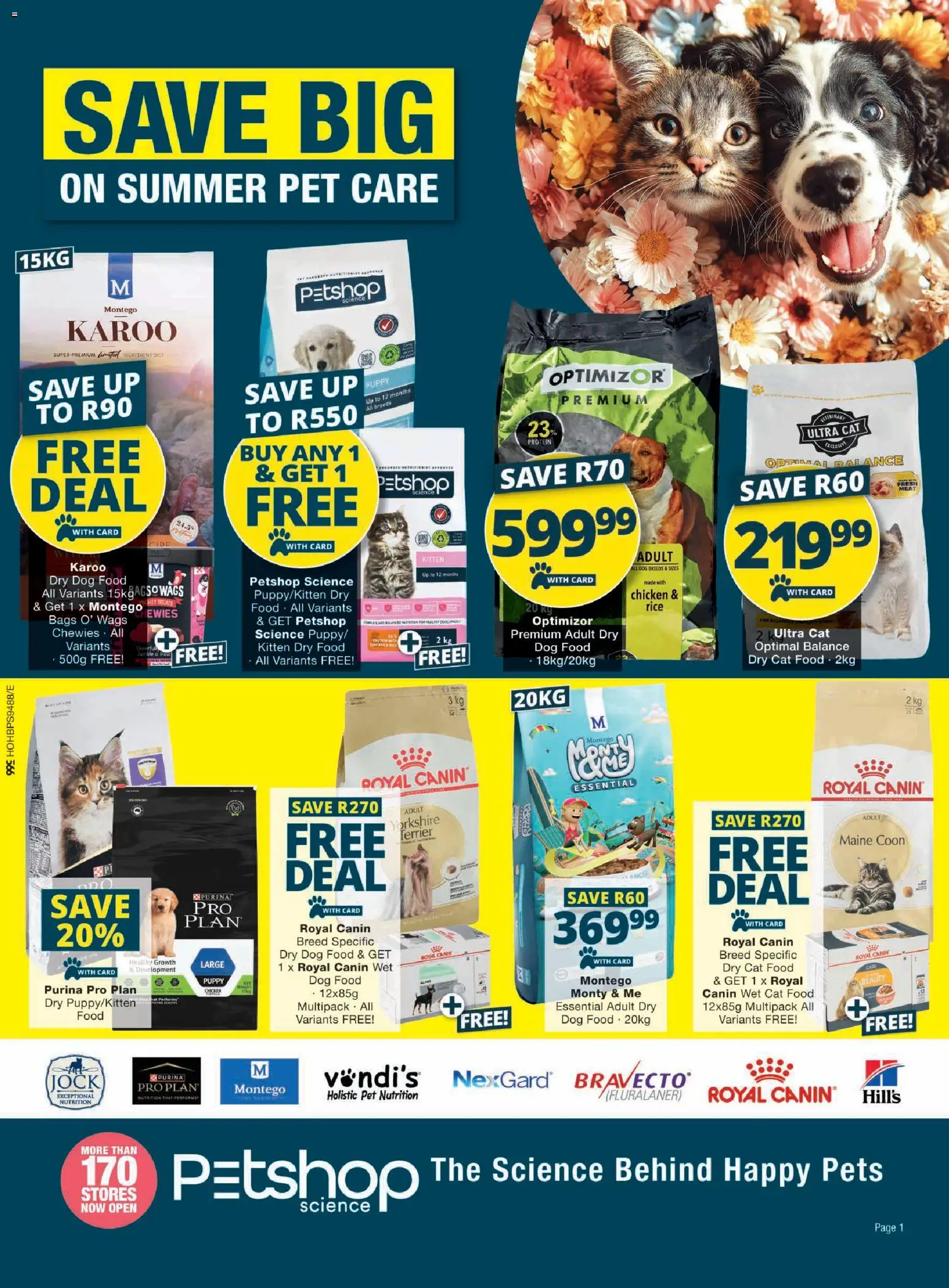 New Checkers catalogue – valid from 19.01.2026 | Page: 1 | Products: Chicken, Rice, Cat food, Dog food