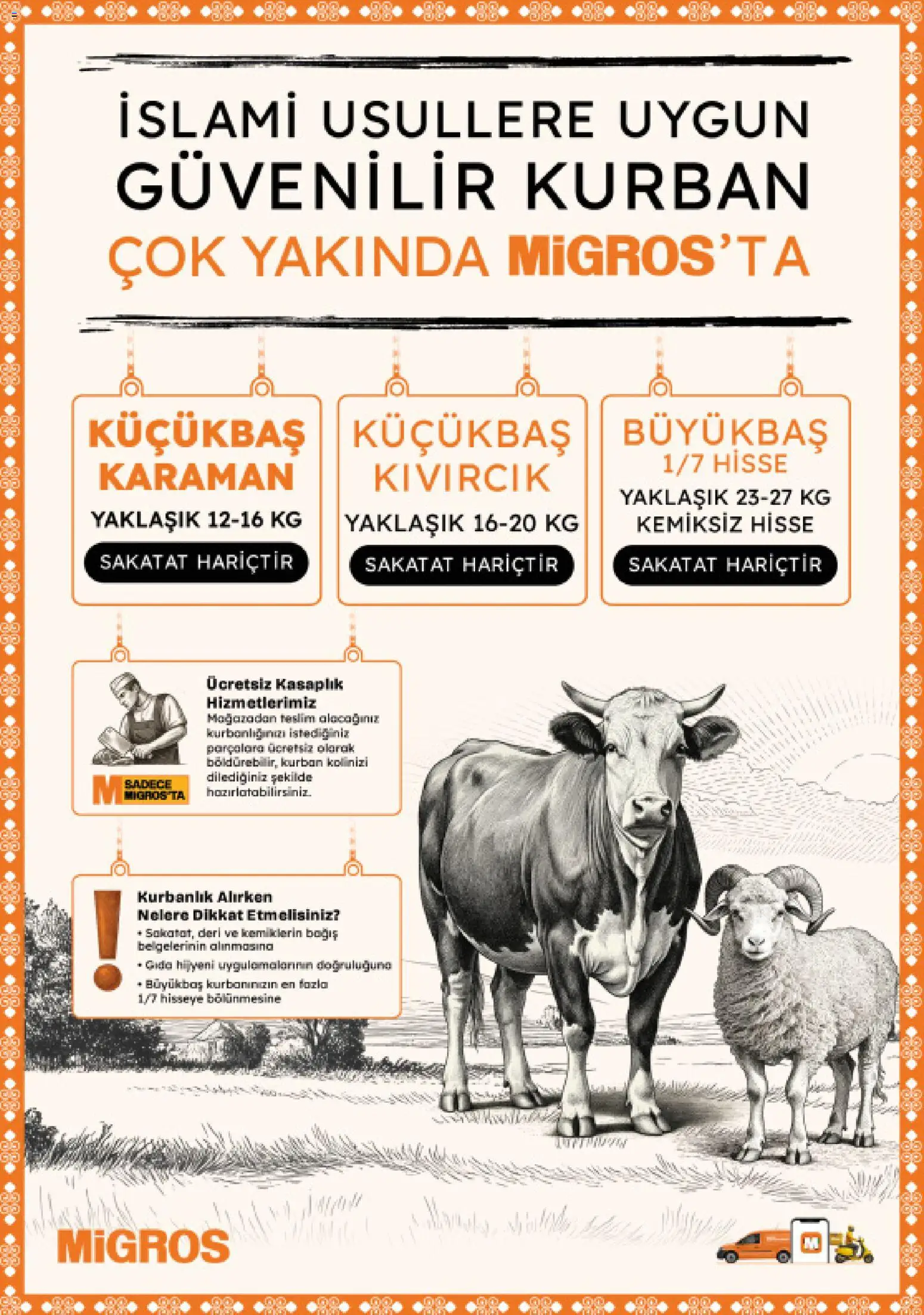 Migros Katalog - Migroskop - 16.04.2026 tarihinden itibaren geçerlidir | Sayfa: 114 | Ürünler: Sakatat