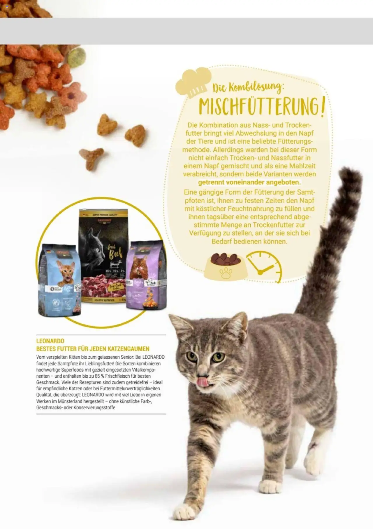 zookauf Themenkatalog Katze – gültig ab 01.10.2025 | Seite: 17