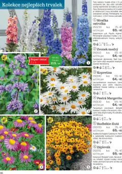 Starkl katalog podzim 2025 od 01.08.2025 | Strana: 46