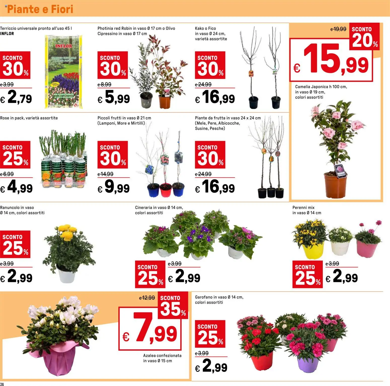 Volantino Iper del 05.02.2026 | Pagina: 36