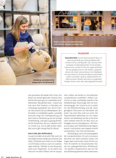 Bauhaus Passt! ab 01.10.2025 gültig | Seite: 62