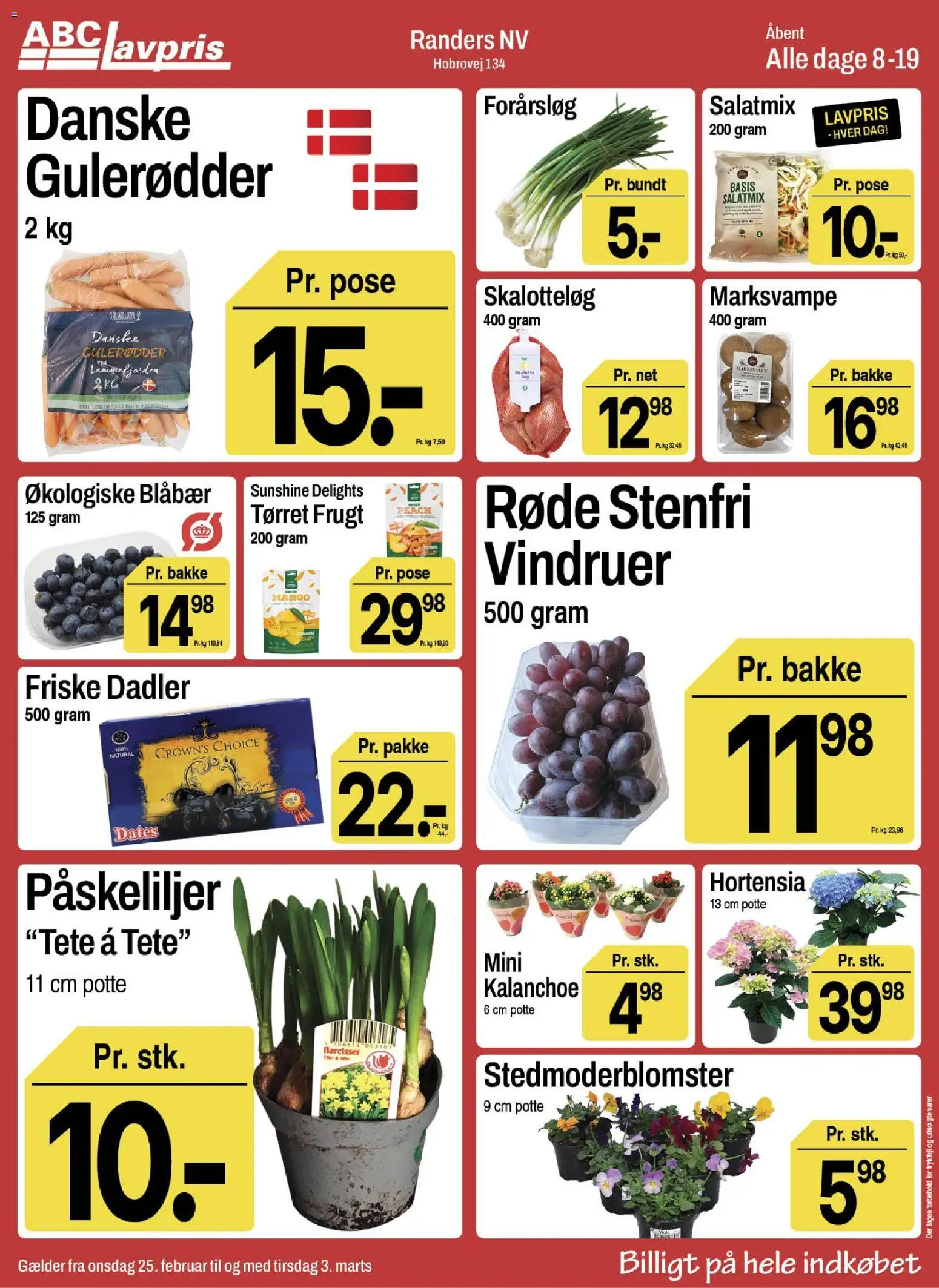 Abc Lavpris tilbudsavis – gyldig fra 25.02.2026 | Side: 10 | Produkter: Blåbær, Tørret frugt, Dadler, Vindruer