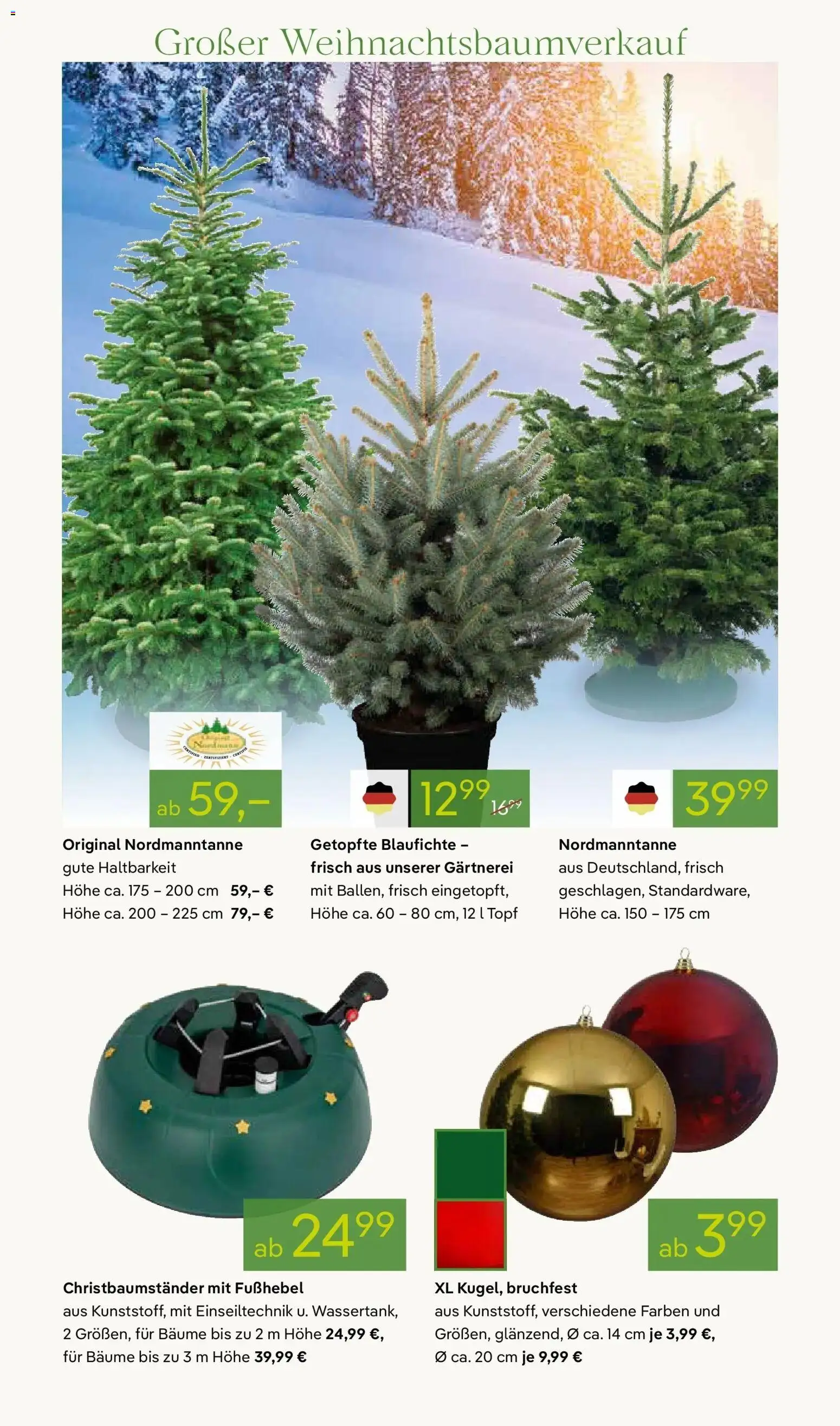 Pflanzen-Kölle - Pflanzen-Kölle: Advent, Advent – gültig ab 23.11.2025 | Seite: 6