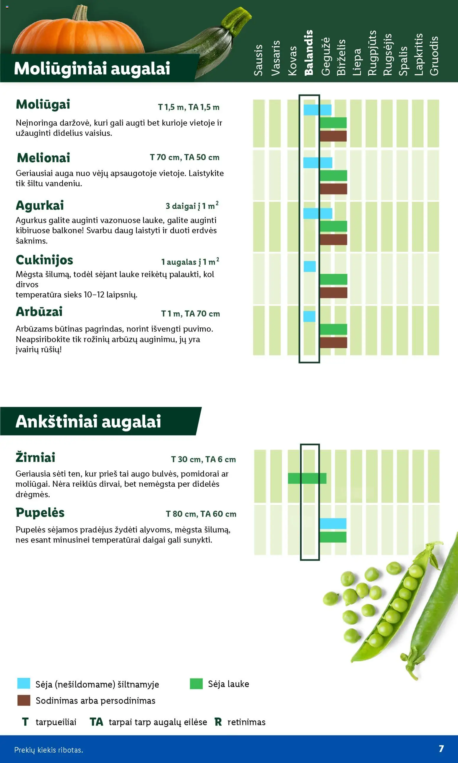 LIDL akcijos nuo 30.03.2026 | Puslapis: 7 | Prekių: Agurkai, Pupelės, Pomidorai