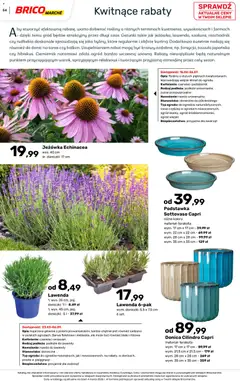 Pogląd oferty "Brico Marché gazetka - Wiosna" - ważna od 04.03.2026 | Strona: 54 | Produkty: Rosliny, Doniczki
