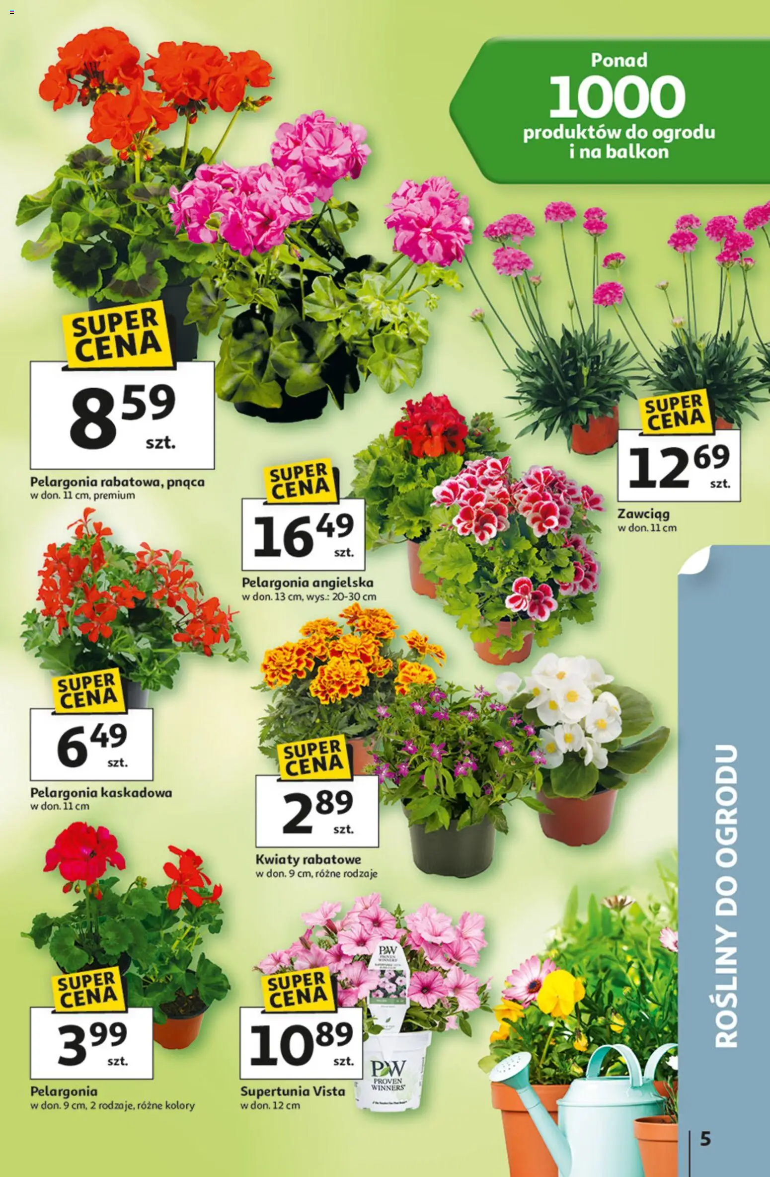 Auchan gazetka - 30 Lat Hipermarket od 23.04.2026 | Strona: 5 | Produkty: Rosliny, Kwiaty