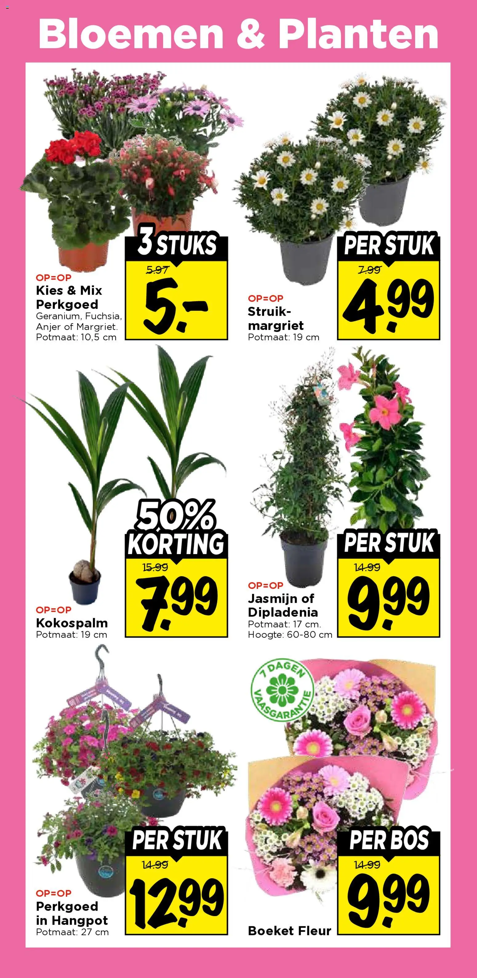 {H1} | Pagina: 29 | Producten: Bloemen