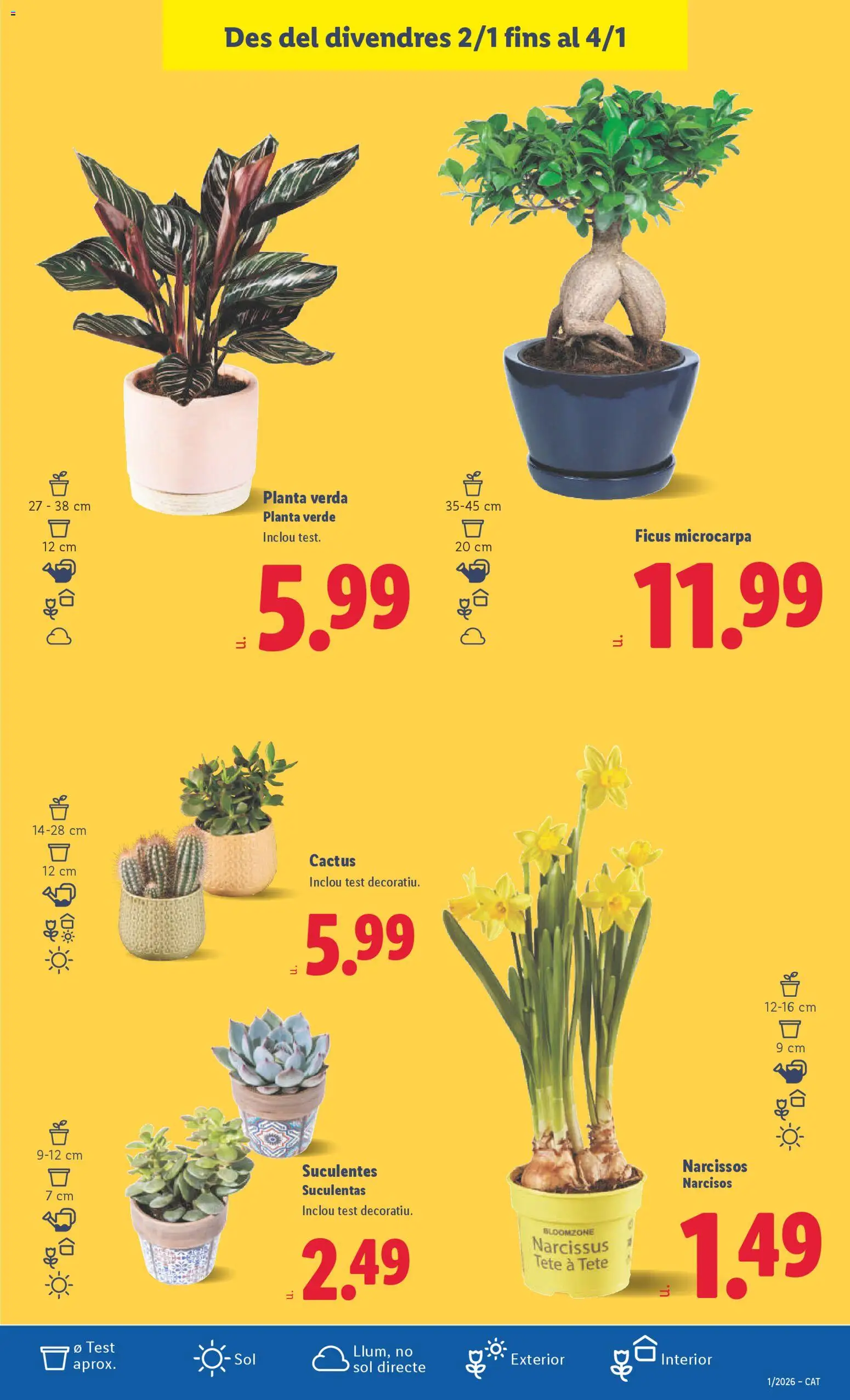 Lidl folleto │ válido desde el 29.12.2025 | Página: 33