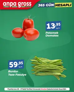 16.09.2025 tarihinden itibaren geçerli olan Anpa Gross kataloğu önizlemesi