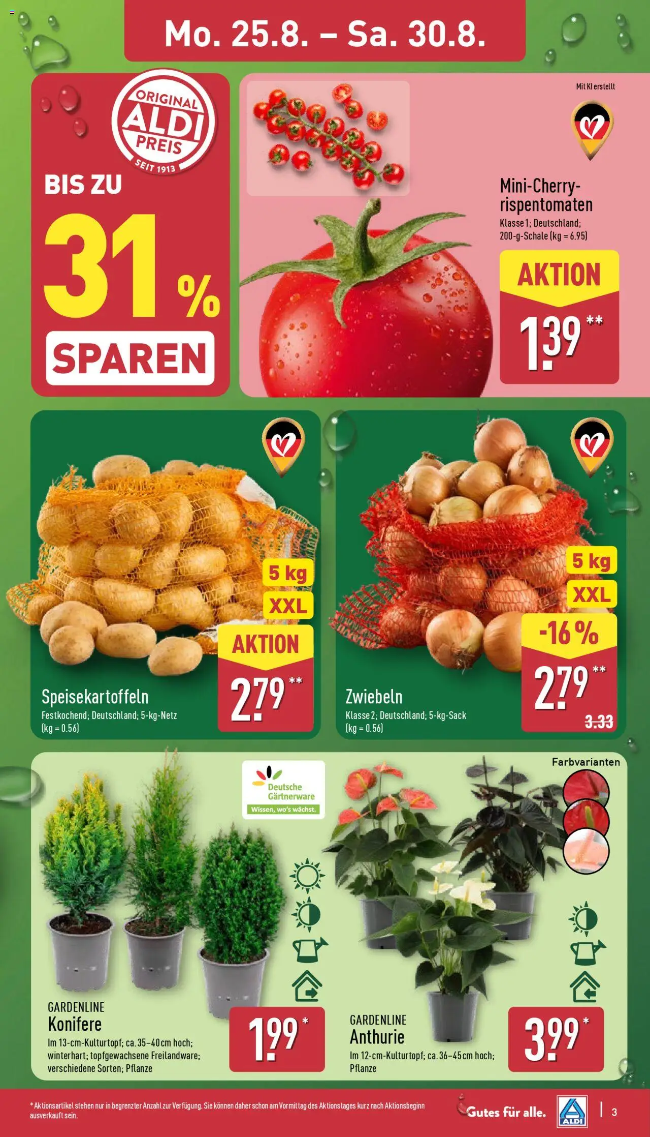 Aldi Prospekt 	 - gültig ab dem 25.08.2025 | Seite: 3 | Produkte: Zwiebeln