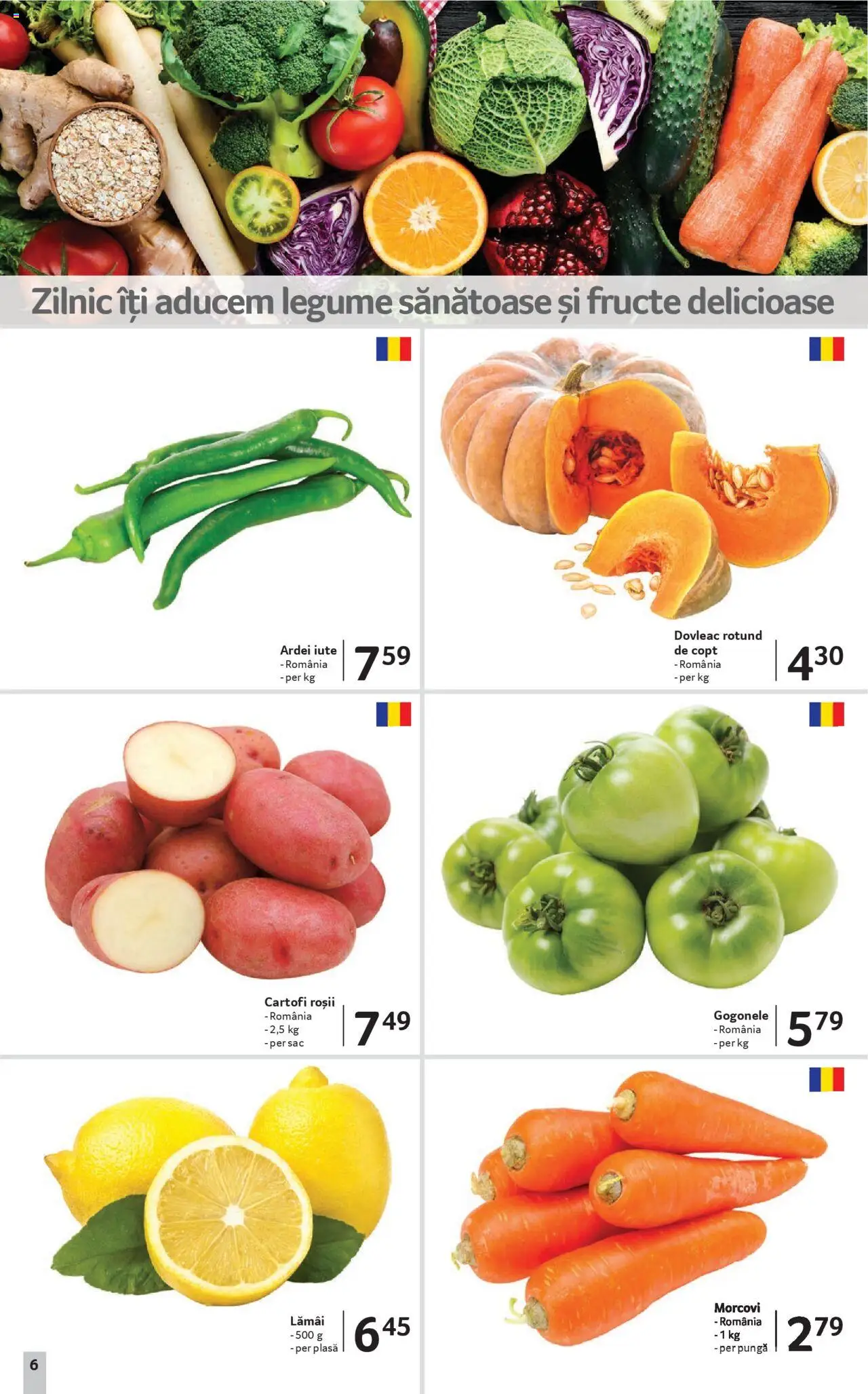 Noul catalog Selgros – valabil de la 19.09.2025 | Pagină: 6 | Produse: Dovleac, Ardei iute, Roșii, Legume