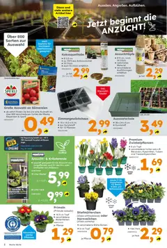 Globus Baumarkt Prospekt 	 ab 16.02.2026 gültig | Seite: 2 | Produkte: Hochbeet, Stiefmutterchen, Salat