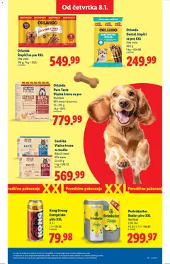 Perlenbacher Radler pivo XXL, Multipak, 2,5% Vol., 4 x 0,5 l - pregled Lidl kataloga - važi od 08.01.2026 | Strana: 43